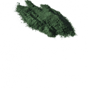 Chlorella powder Organic